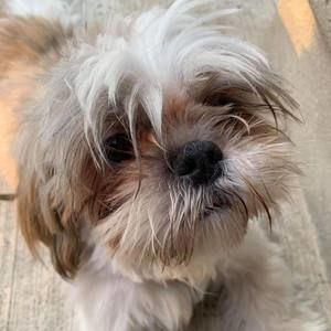 Meet your Posher, Iven